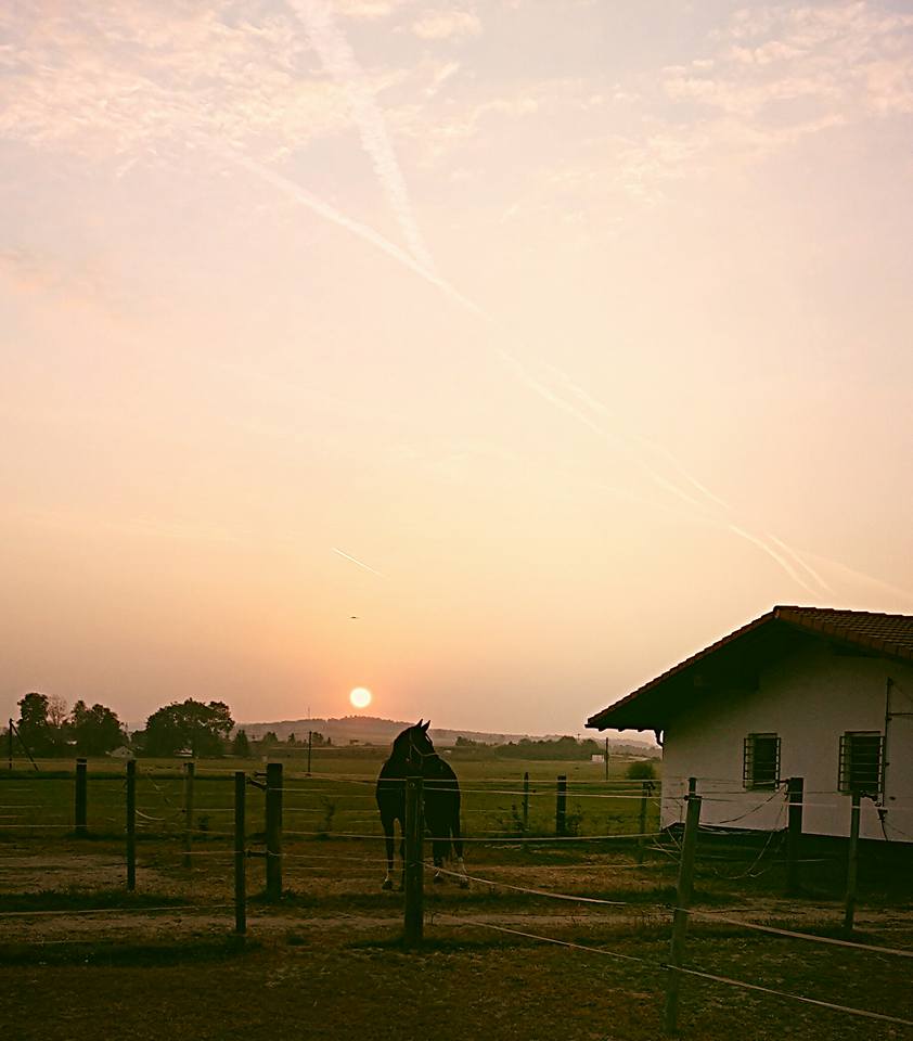 Sonnenaufgang im Reitsatll Kilian