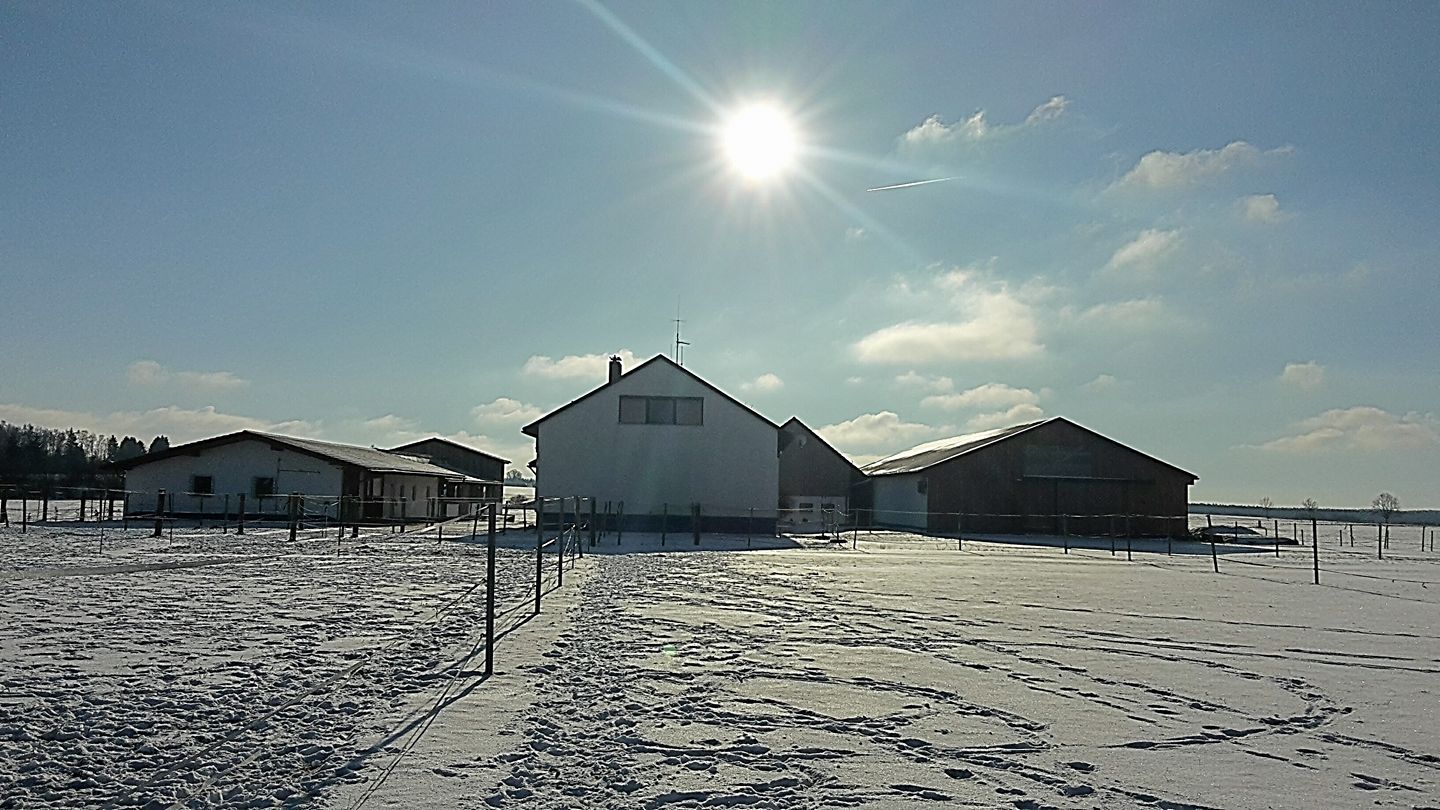 Reitsatll Kilian im Schnee